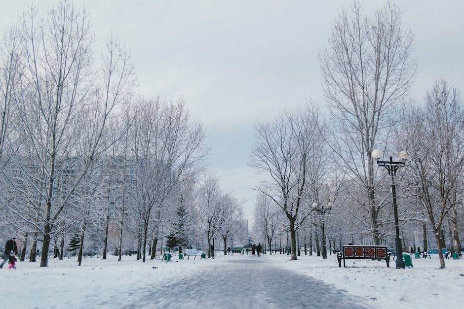 A group of people wearing winter clothes, embracing the cold weather with smiles on their faces.